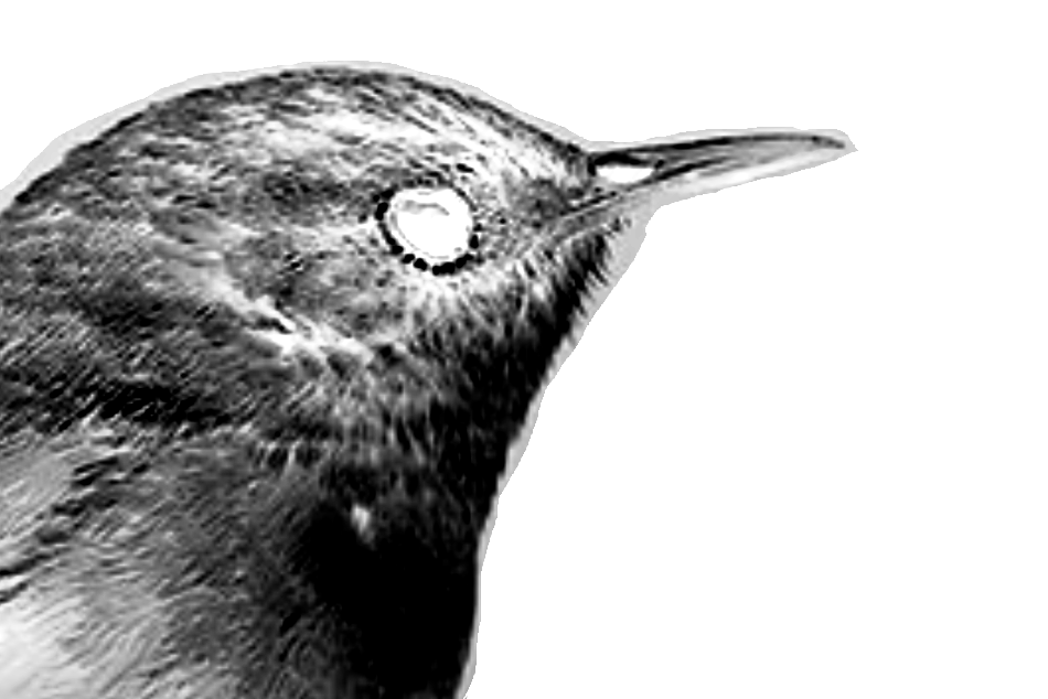 Chercan Radio