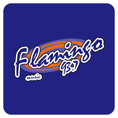 Flamingo Stereo 93.7 FM - Radio station MX