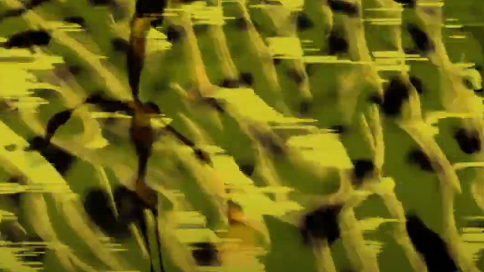 Labyrinth | NTS - Radio station GB