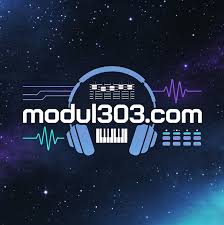 Modul 303 - Radio station DE