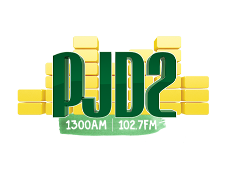 PJD2 The Voice of Sint Maarten 1300 AM - Radio station NL