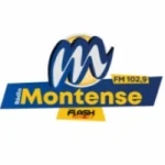 Rádio Montense Flash Minas 102.9 FM - Radio station BR