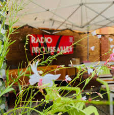 Radio Broussaille - Radio station FR