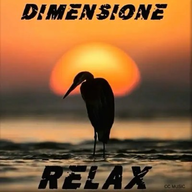 Radio Dimensione Relax - Radio station IT