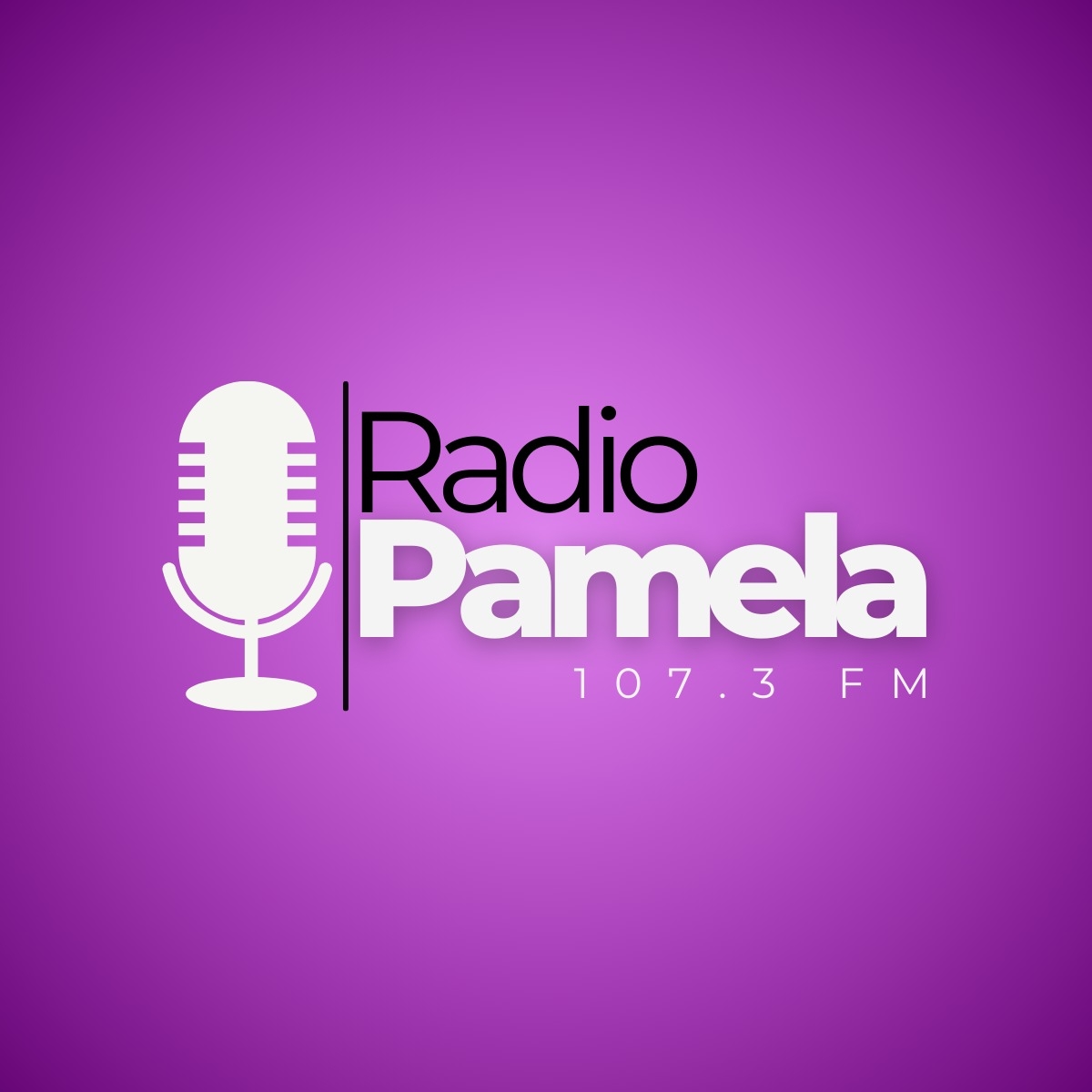 Radio Pamela FM 107.3 - Radio station CL