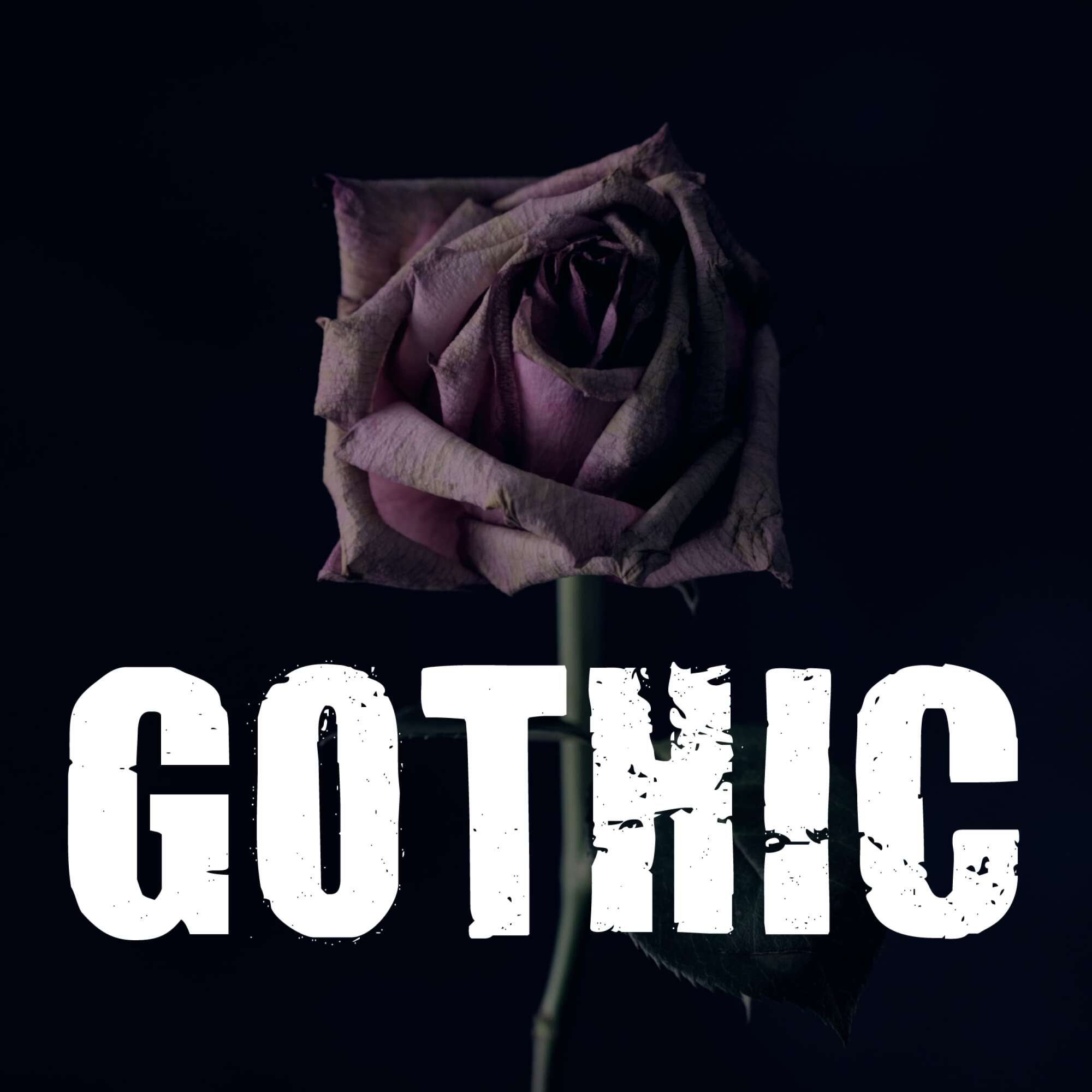 Rock Antenne - Gothic - Internet radio DE