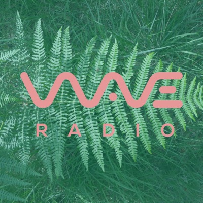 WAVE RADIO 89.8 Hossegor - Radio station FR