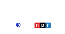 WGCU 90.1 - Radio station US