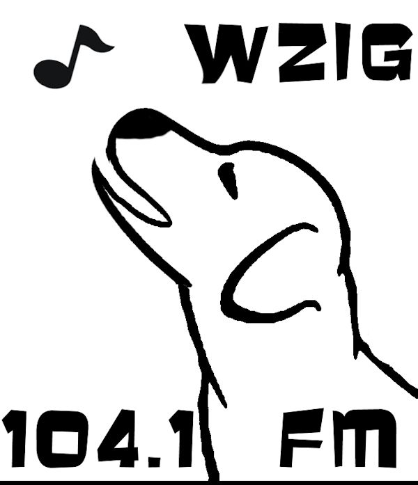 WZIG 104.1 FM - Radio US