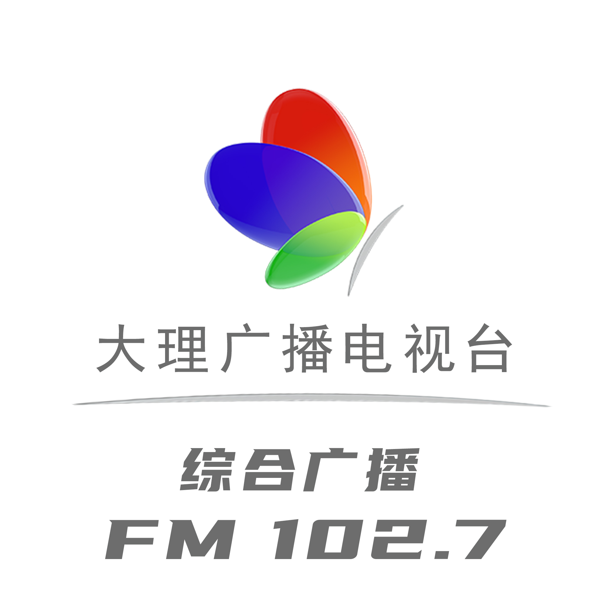 大理综合广播 - Radio station CN